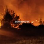 φωτια μαρτινο 11