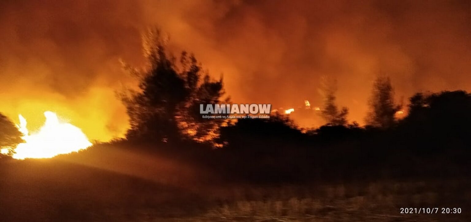 φωτια μαρτινο 11