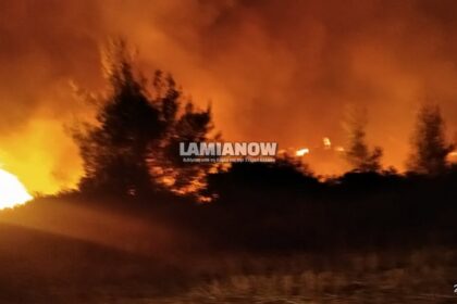 φωτια μαρτινο 11