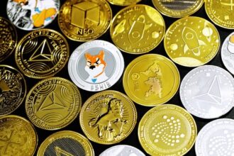 PuertoRicoCrypto5