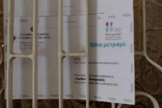 apografi1 1