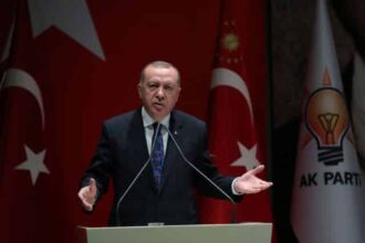 erdogan5 1