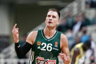 nedovic 2048x1396 1
