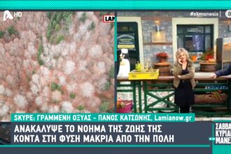ntina1