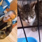 γρηγορηςγατουλης