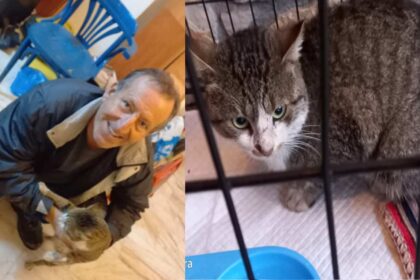 γρηγορηςγατουλης