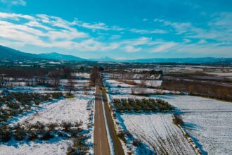 DJI 0461