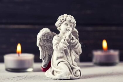 FB IMG 1638694829616