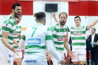 pao volley