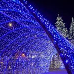 Χριστούγεννα Λαμία 2021 9