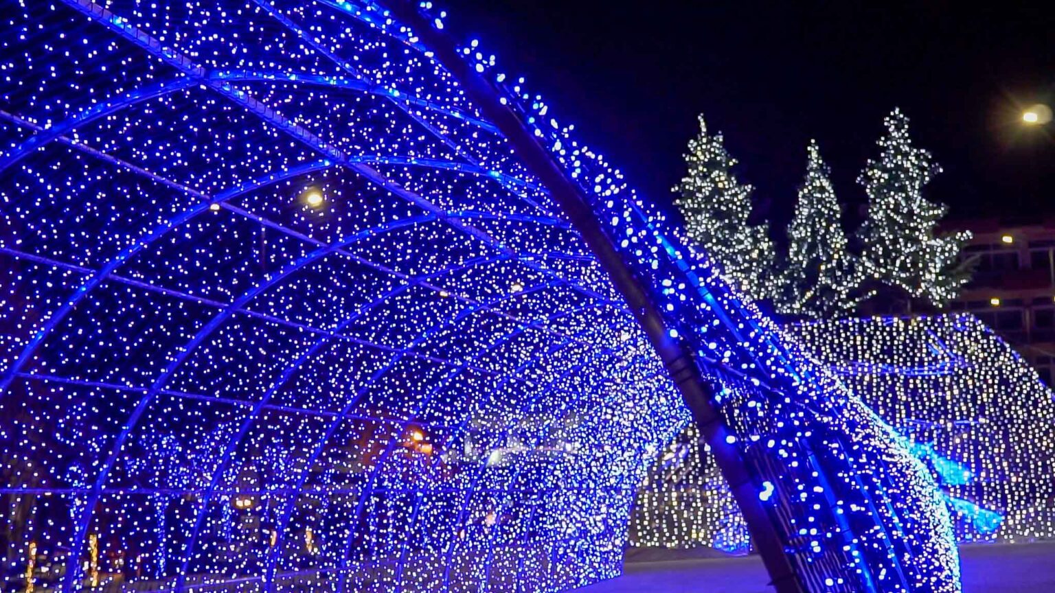 Χριστούγεννα Λαμία 2021 9