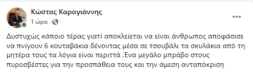 καραγιαννης