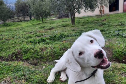 266652003 645808736466441 583751399838506668 n