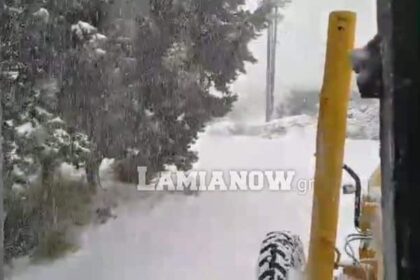 271489715 2707771209518954 5607559938405519898 n