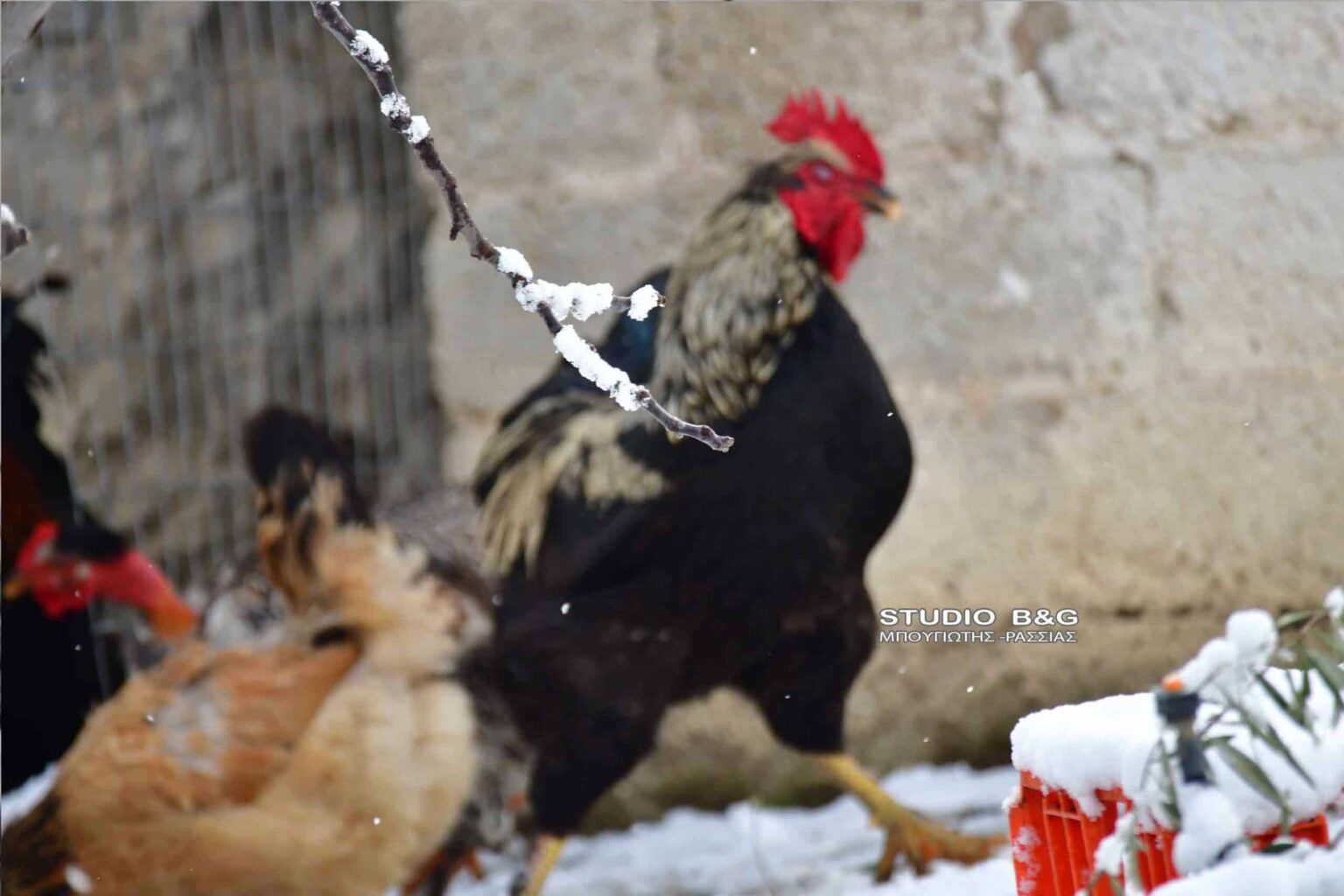 ARGOLIDA ARGOS KASTRO XIONIA POLH16 scaled