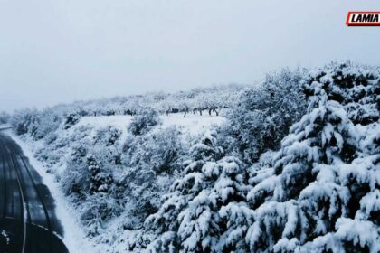 SnapShot91 1536x864 1