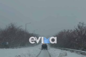evoia