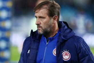 martins1 2048x1412 1