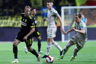 pao aris1 2048x1464 1