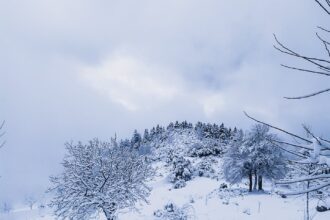 untitled 9