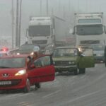 xionia alysides2 scaled