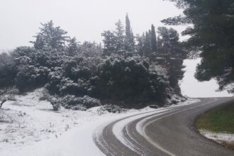 γιαννιτσου