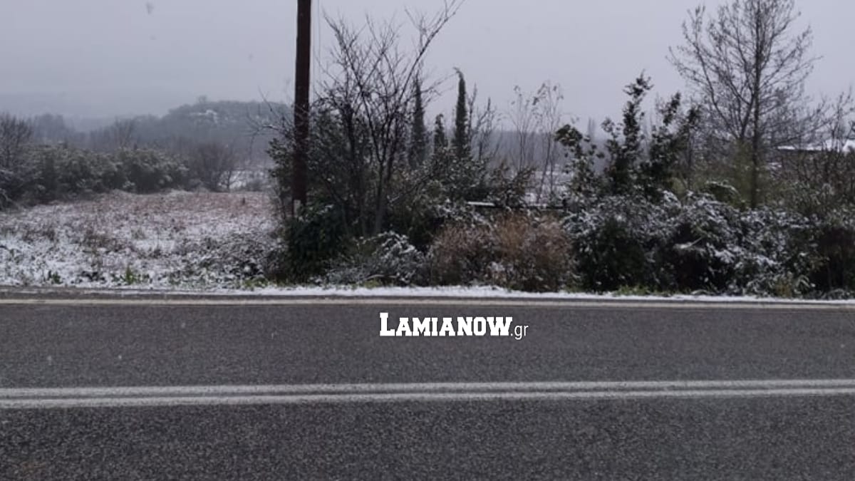 https://lamianow.gr/wp-content/uploads/2024/03/Iamia-Now-01-1-2-1-scaled.jpg