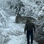 χιονιμακρακωμη