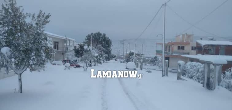 Αταλάντη: Δίνουν αλάτι στους δημότες του Δήμου Λοκρών για αντιμετώπιση του χιονιά