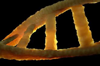dna 1388696 1920 h1 1024x534 1024x534 1