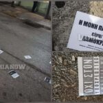 inCollage 20220206 004035270 scaled