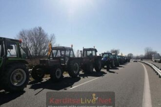 karditsa agrotes trakter 0402