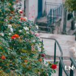 αγιος γεωργιος λαμια 28