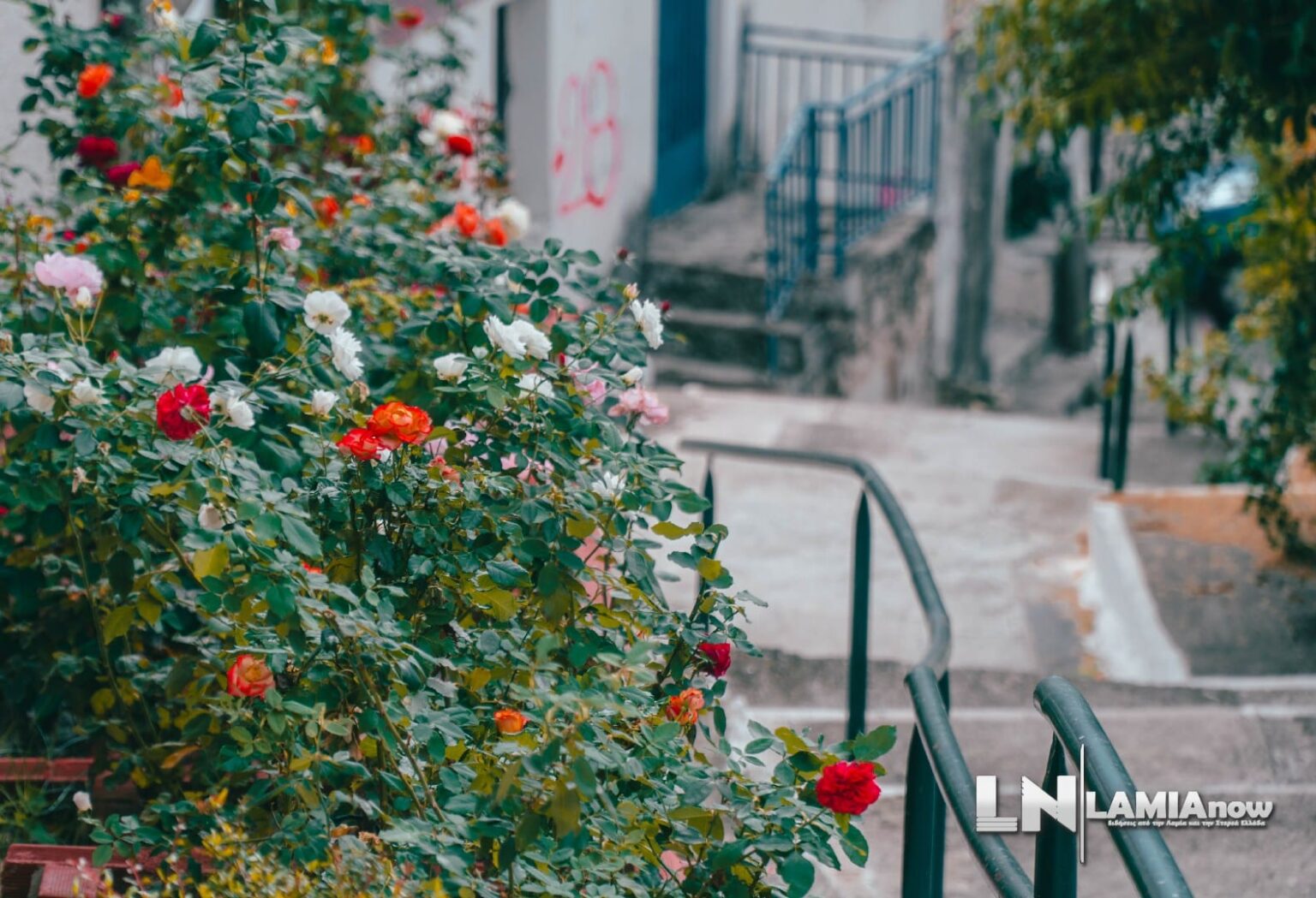 αγιος γεωργιος λαμια 28