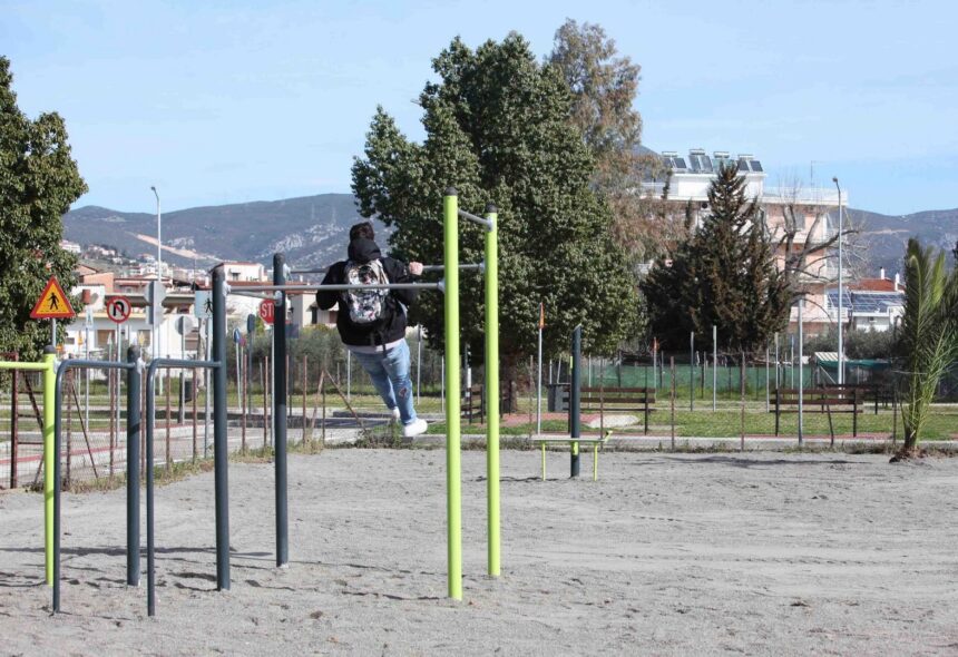 απογραφη 6 1