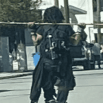 τσεκουριευβοια