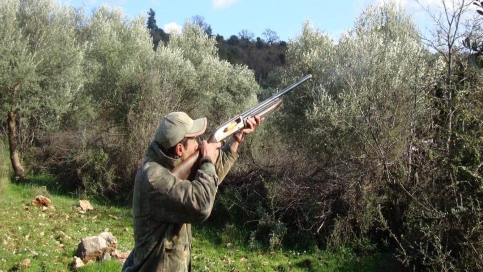 τσιχλες κυνηγι