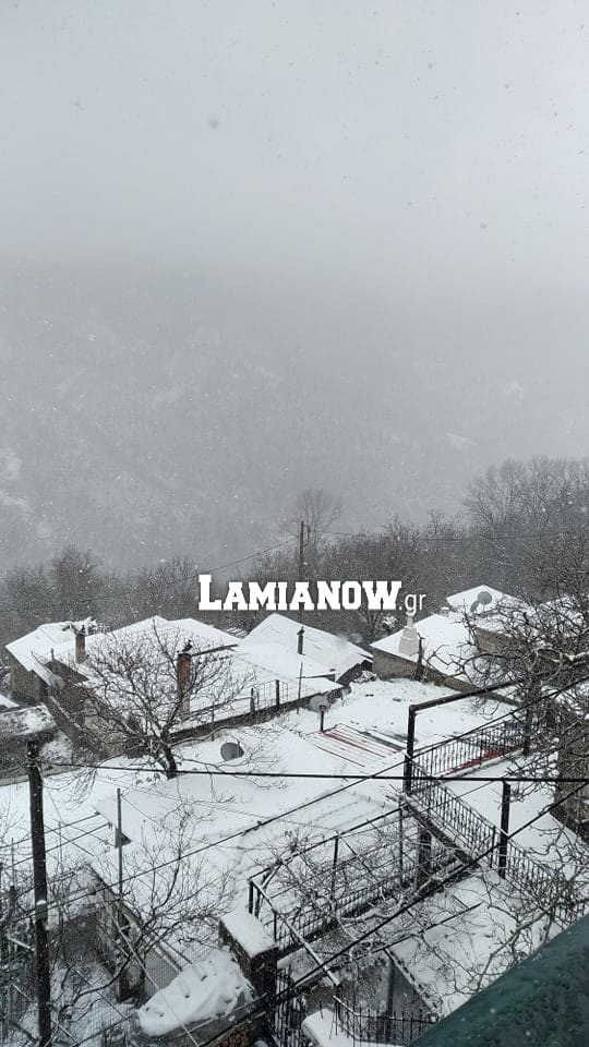 https://lamianow.gr/wp-content/uploads/2024/03/Iamia-Now-01-1-2-1-scaled.jpg