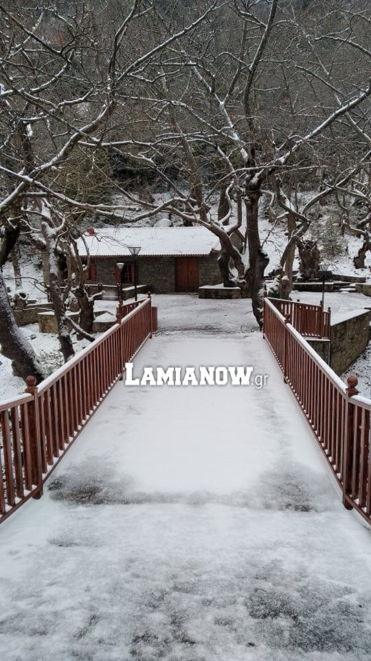 https://lamianow.gr/wp-content/uploads/2024/03/Iamia-Now-01-1-2-1-scaled.jpg