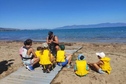 243094588 1939170849576578 2481213348143859509 n