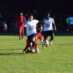 274130036 1117526515677225 7110188600656895478 n scaled