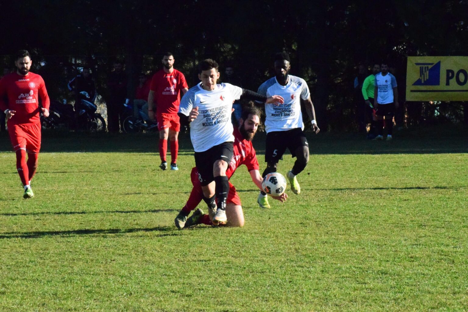 274130036 1117526515677225 7110188600656895478 n scaled