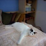 IMG 20210620 131022 HDR scaled