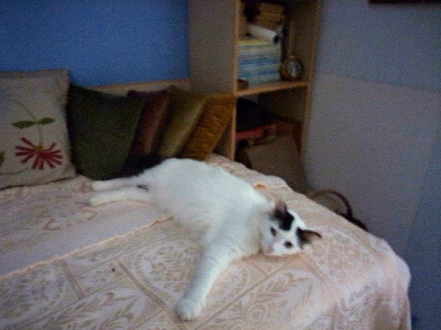 IMG 20210620 131022 HDR scaled