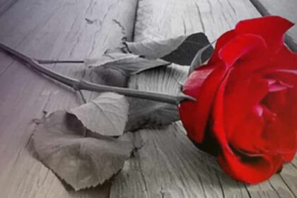 penthos triantafyllo