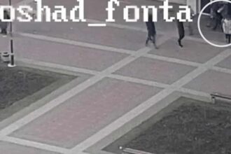 video 1024x598 1