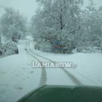 αναβρα δομοκου 3