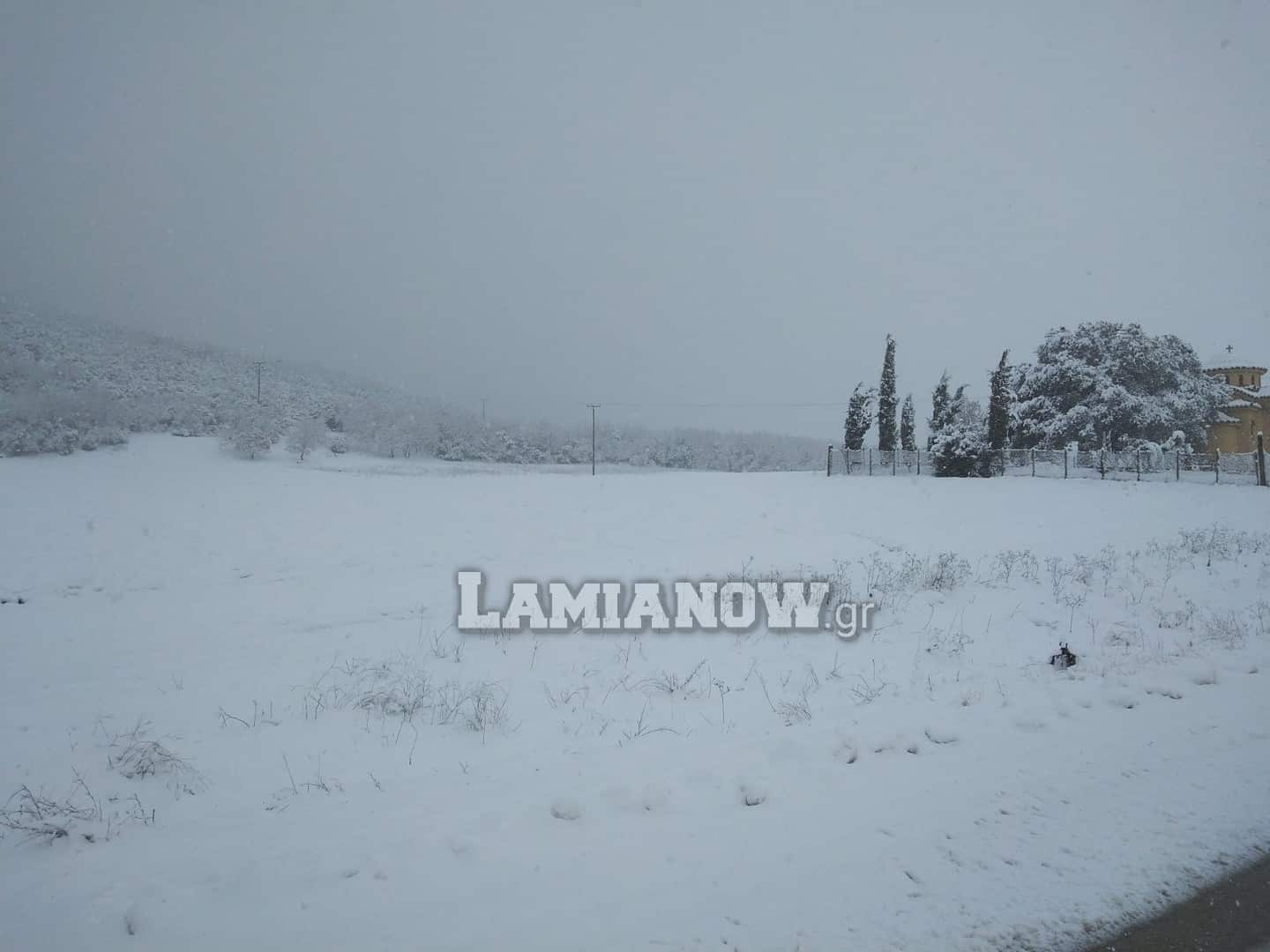 αναβρα δομοκου 7