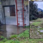 βιολογικος13