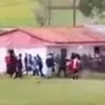 ξυλοευβοια